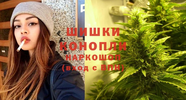 эйфоретик Белокуриха
